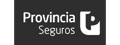 Provicia Seguros